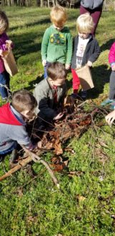Garden Sprout class making a nest with sticks.