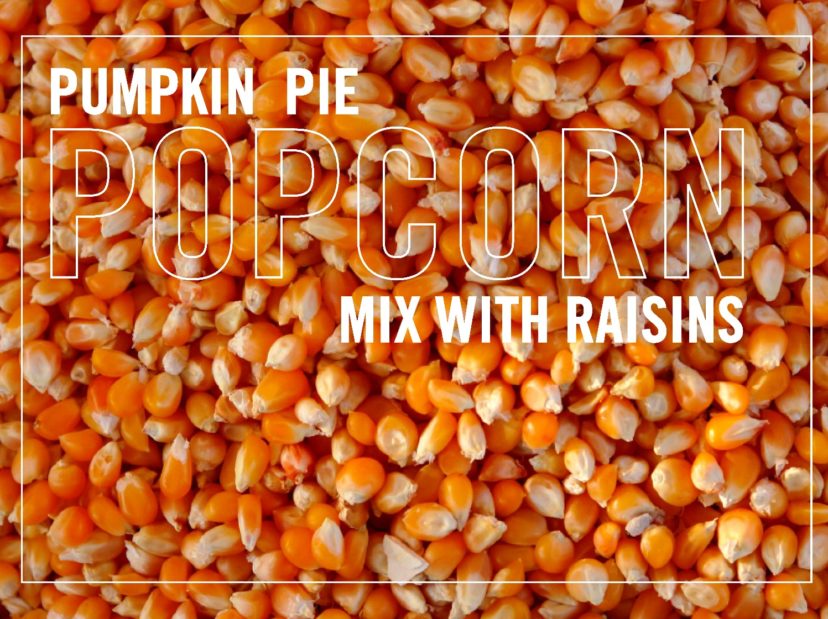 Spice up your popcorn with this pumpkin pie popcorn mix.