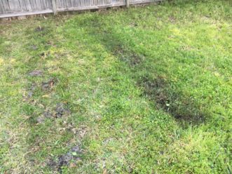 A dark strip of freshly flamed turf that will turn brown and die within a few days. An alternative to this method would be to till your soil, form your beds, allow weeds to germinate (2-3 weeks growth), flame weed the new weed seedlings that popped up, and then transplant. This is referred to as the stale bed technique, and if you don’t till or disturb the soil again, you will have minimal weed pressure.