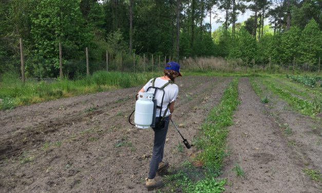 3 Cool Tools to Add to your Garden Toolbox for Weed Management This Year