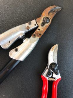 Kerrie’s horribly cared for tools.