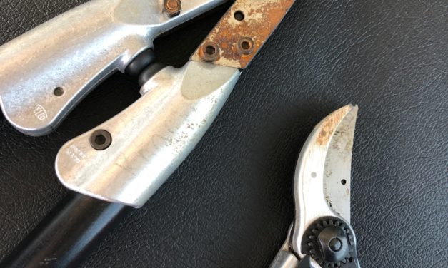 Winter Tool Care