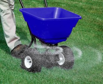 Apply turfgrass fertilizer as evenly as possible across the lawn using a push spreader.