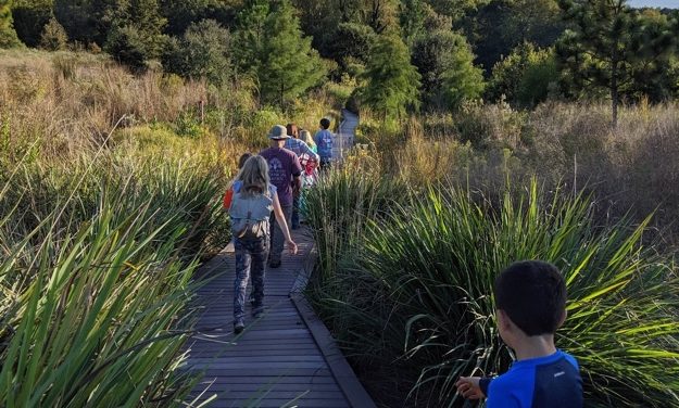 Sharing Nature with Children: Junior Naturalist Program