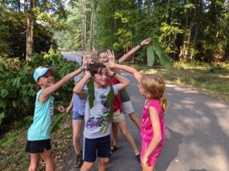 Participants thinking about leaves.