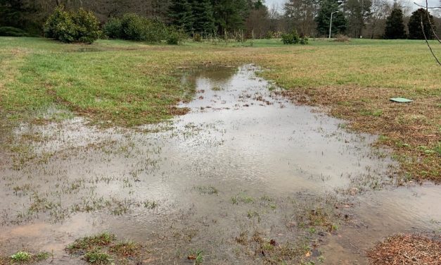 Dealing With Spring Drainage