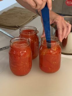Removing air bubbles from hot packed tomato halves.