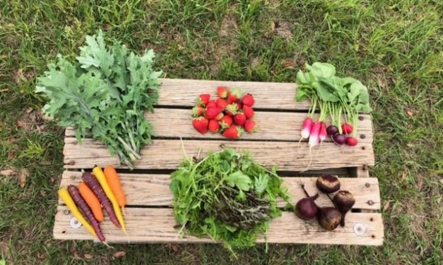 Now is the Time to Support our Local Farmers!
