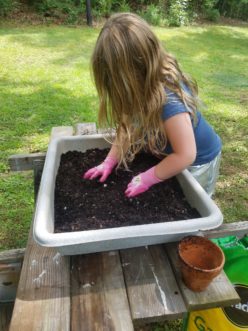 Evenly spread and lightly tamp down the soil in layers to fill the container. LayLa Burgess, ©2018 HGIC, Clemson Extension