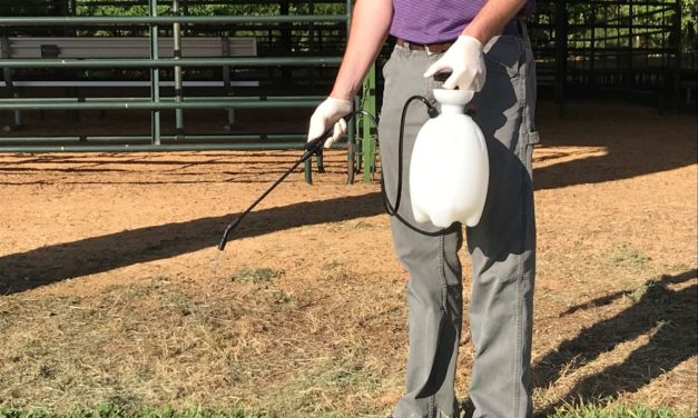 Lawn Weed Control Timing Chart