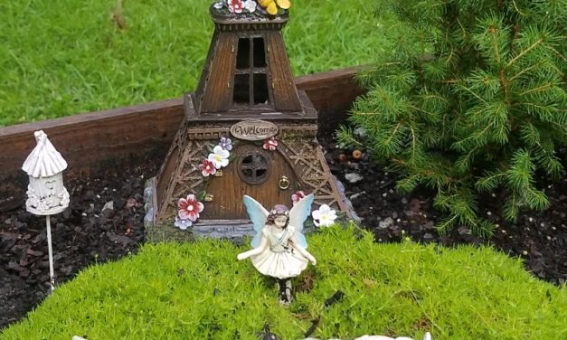 Miniature Gardens: A Story to Tell
