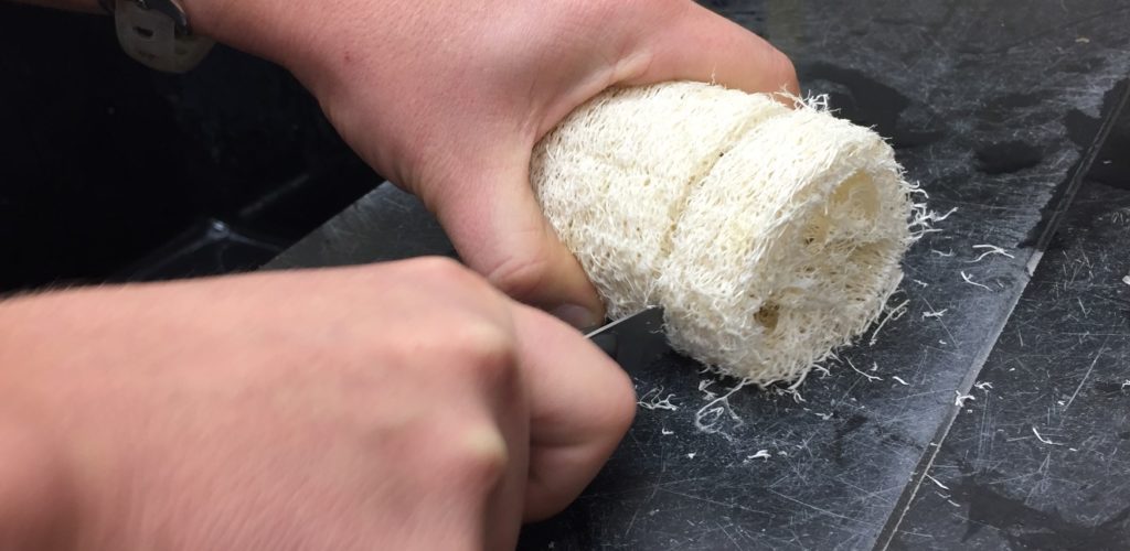 next-use-a-serrated-knife-to-slice-whole-luffas-i Use a serrated knife to slice whole luffas into rounds approximately 1 to 1 ½ inch thick.