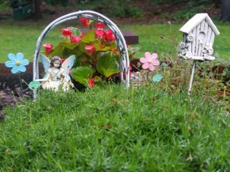Small scale gardening is a fun activity for everyone involved. It allows one to think big, but on a small scale. LayLa Burgess, ©2019 HGIC, Clemson Extension