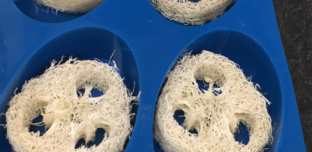 Place luffa slices in molds.