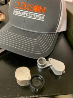 A jeweler’s loupe can magnify objects from 5 to 20X, providing an eye witness account to what may be causing your plants to suffer. Zack Snipes, ©2020, Clemson Extension