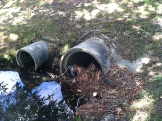 Accumulated debris at this outlet could impede flow leaving the pond, impacting its ability to manage large rain events. Once noted, the pond owner should clear as soon as possible to avoid clogging. C. Guinn Wallover, ©2020, Clemson Extension