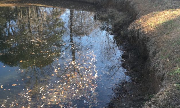 Stormwater Ponds: Inspection and Maintenance Considerations