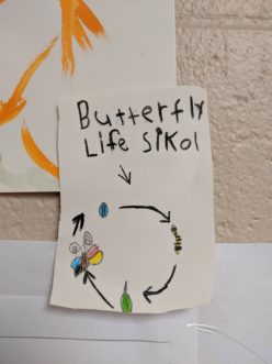Butterfly life cycle through the eyes of child. Sue Watts, ©2020, Clemson University
