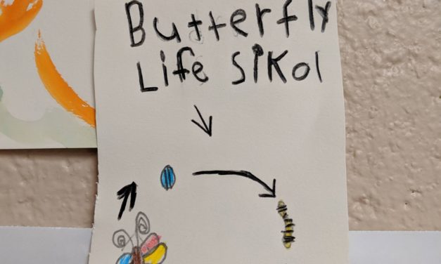 Nature Books for Children