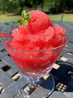 Lime and Mint Infused Watermelon Sorbet Kimberly Baker, ©2020, Clemson Extension