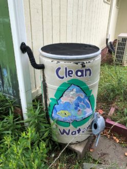 Rain Barrel at Pickens County Education Building. Susan Lunt, ©2020 Clemson Extension