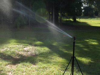 The average American family uses more than 30% of its water on irrigating their lawn or garden. Barbara Smith, ©2020, Clemson Extension