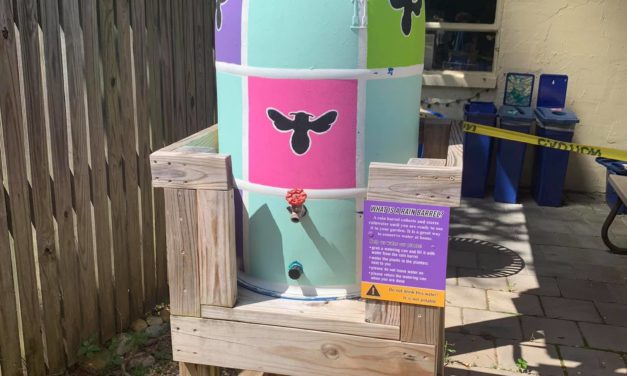 Rain Barrels: A Family or Housemates Activity