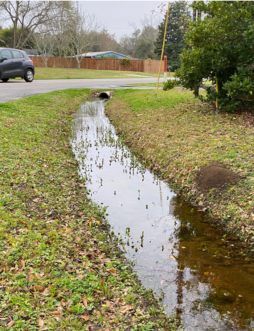 “A ditch is part of a conveyance system that helps to move water away during storm events” K. Morganello, ©2020, Clemson Extension