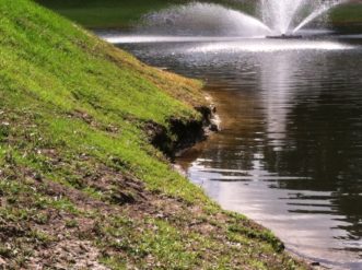 A pond bank experiencing erosion and undercutting. Guinn Wallover, ©2020, Clemson Extension