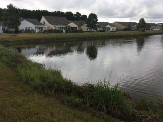 A shoreline protected and beautified by a low-mow meadow. Guinn Wallover, ©2020, Clemson Extension