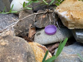 Even small objects, such as this milk jug cap, can hold enough water for mosquito reproduction. LayLa Burgess, ©2020 HGIC, Clemson Extension