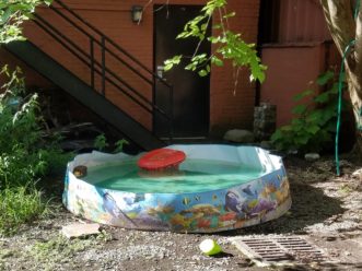 Items left unattended can inadvertently collect water. Stagnant water is a perfect habitat for mosquito reproduction. LayLa Burgess, ©2016 HGIC, Clemson Extension