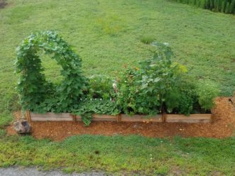 Plant diversity creates habitat diversity for insects, spiders, and related arthropods to live and thrive. LayLa Burgess, ©2018 HGIC, Clemson Extension