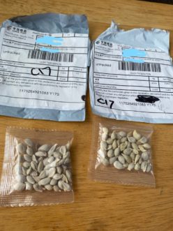 Unsolicited packages of seeds, many involving addresses from China, have been reported to agriculture officials by U.S. citizens from coast to coast. Image Credit: Washington State Department of Agriculture