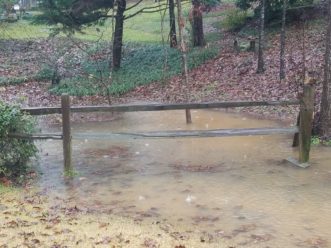 Water often funnels, collects, and becomes stagnant in low grades or “bottoms” areas. This can easily lead to creating potential mosquito breeding sites that need attention. LayLa Burgess, ©2019 HGIC, Clemson Extension
