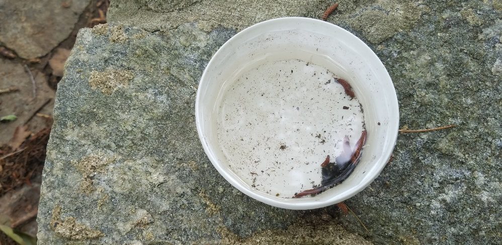 When left outside, items such as buckets, used candles, cups, and lids become a significant source of water capture and retention.