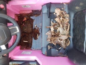 Water collects easily in a motorized vehicle for children, if left exposed outside.