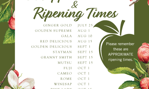 More than a Honeycrisp; Local Apple Options for Diehard HC Fans