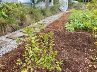 Adjacent landscape features, including rain garden and landscaped beds, also assist with infiltration.” Kim Morganello, ©2020, Clemson Extension