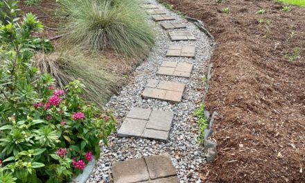 Managing Water in the Home Landscape