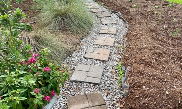 Managing Water in the Home Landscape