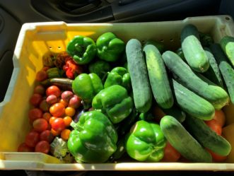 Bountiful supply of spring and summer vegetables. Zack Snipes, ©2020, Clemson Extension