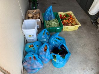 Summer vegetables food bank ready. Zack Snipes, ©2020, Clemson Extension