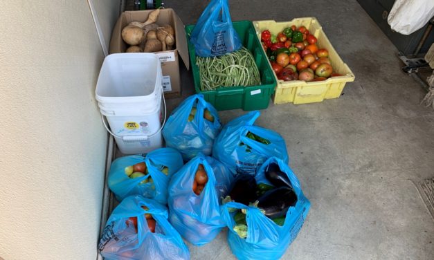 Tired of eating squash? Consider donating to a local food ministry