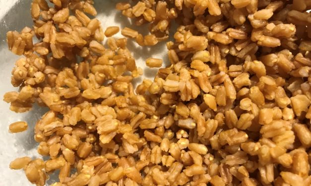 The Good in (Whole) Grains