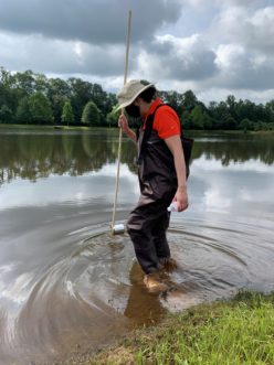 Extension Agent, Susan Lunt, uses a tin can and pole to help collect pond bottom samples in an Upstate pond. Susan Lunt, ©2020, Clemson Extension