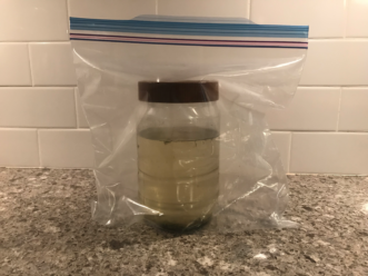 Image 3. Example of an algae sample, in a plastic container within a plastic zip-top bag, to be submitted to the Plant & Pest Diagnostic Clinic. Note that the bottle is less than 90% full.