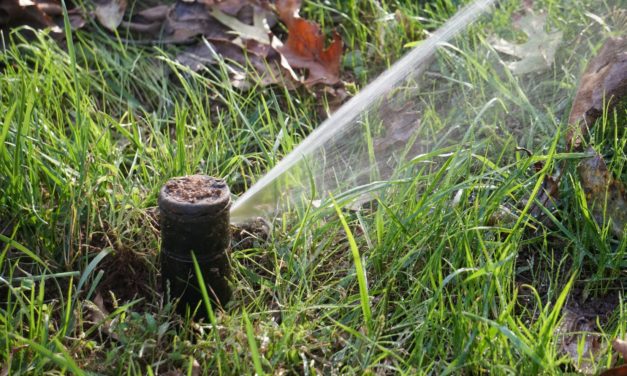 Winter Irrigation for Turfgrass Lawns