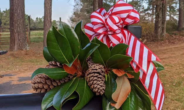 Creative Ideas for Holiday Decorating