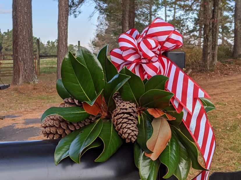 A swag made from magnolia leaves and pinecones is an elegant way to decorate your mailbox. 